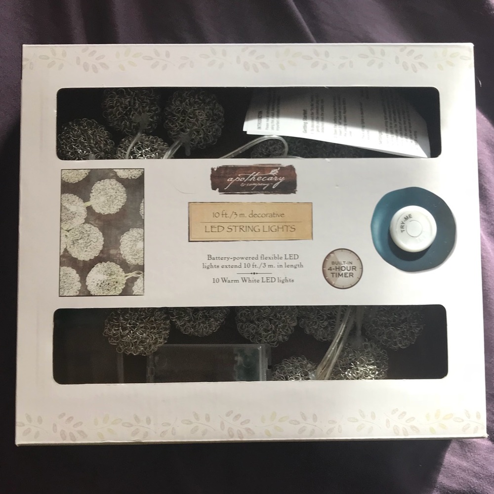 NEW 2x Apothecary 10 ft. LED String Lights